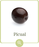 producto-picual