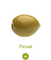 img product